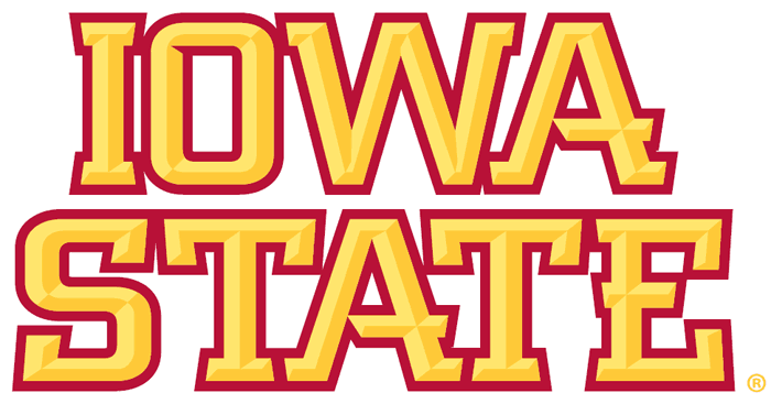 Iowa State Cyclones 2007-Pres Wordmark Logo v2 DIY iron on transfer (heat transfer)